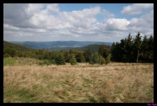 DSC_0893_rowery2009