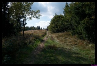 DSC_0901_rowery2009