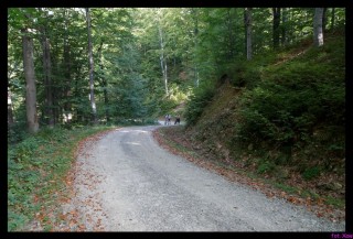 DSC_0990_rowery2009