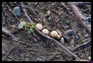 DSC_0999_rowery2009