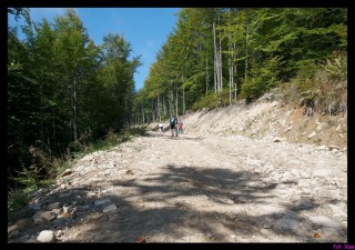 DSC_1081_rowery2009