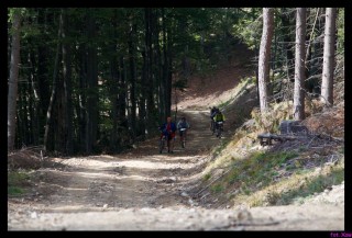 DSC_1173_rowery2009