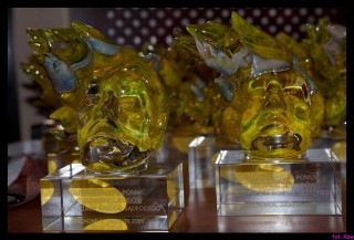 DSC_1255_rowery2009