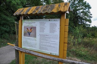 Rowery_Przemysl_2019-0052